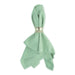 Pistachio Green Napkin