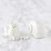 Seashells Salt and Pepper Shaker Set