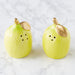 Limons Ceramic Salt and Pepper Shaker Set