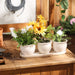 Cream Round Planter Set of 3